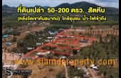 LEA001, ที่ดินเปล่า สัตหีบ (หลังวัดเขาคันธมาทน์)